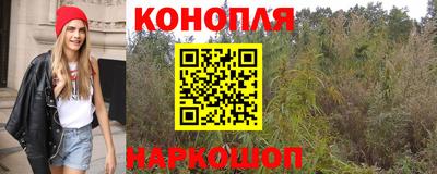 гашик Краснознаменск