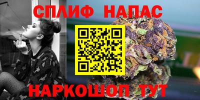 гашик Краснознаменск